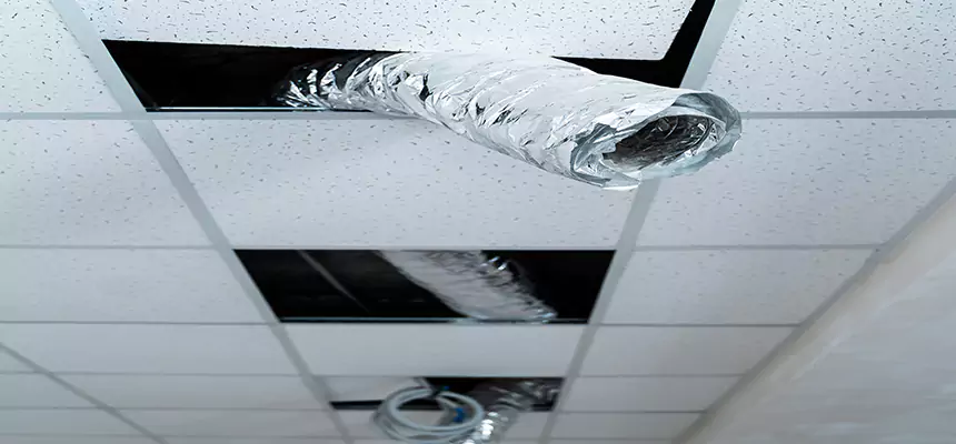 Our Air Duct Pet Hair Removal Services in Hurst, TX