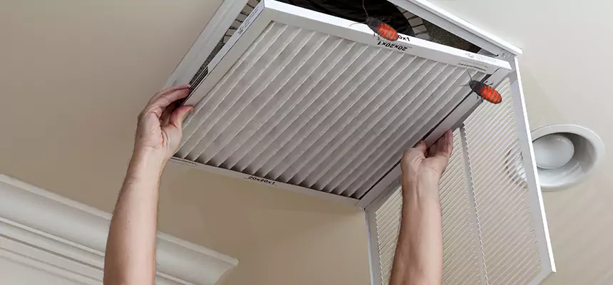 Our Insect Removal from Air Ducts Services in Hurst, TX