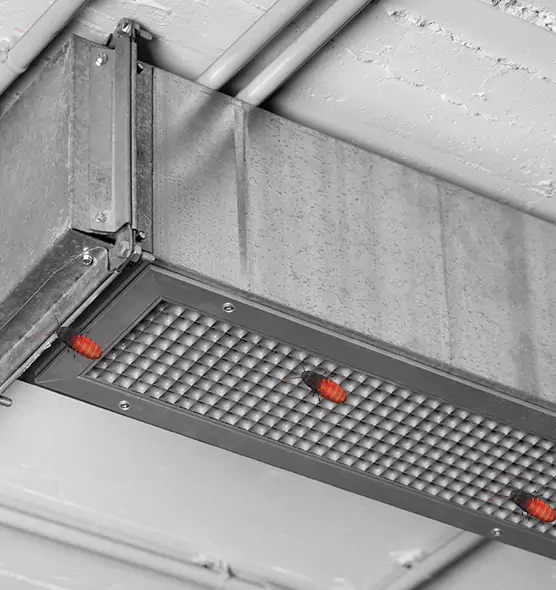 Affordable Insect Removal from Air Ducts in Hurst, TX
