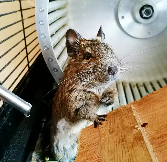 Why Homeowners & Businesses Trust Us Hurst, TX?